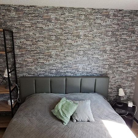 Appartement "Les Calins" Ney 外观 照片