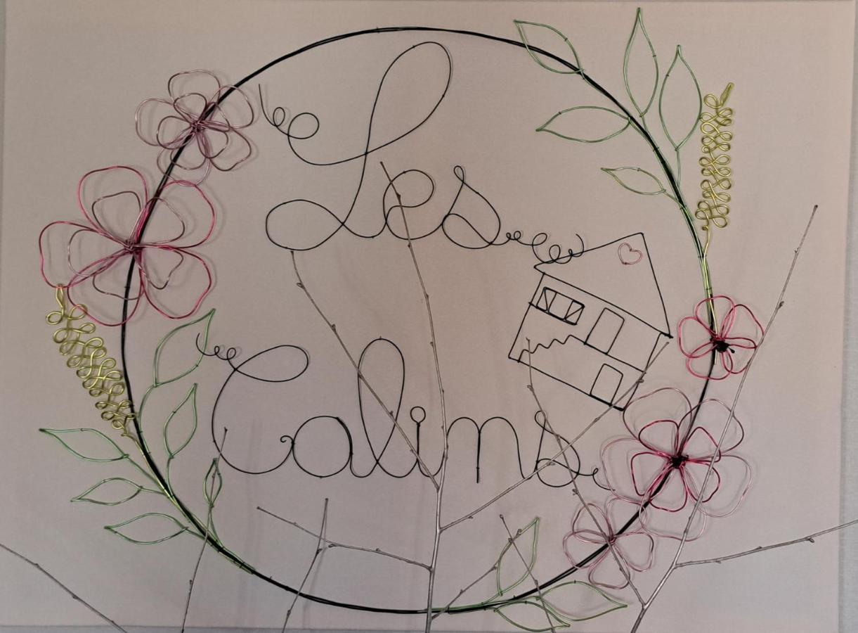 Appartement "Les Calins" Ney 外观 照片
